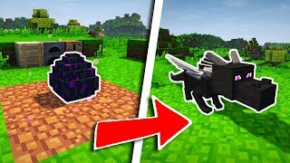 COMMENT FAIRE ÉCLORE LOEUF DE DRAGON DANS MINECRAFT [upl. by Cherilynn]