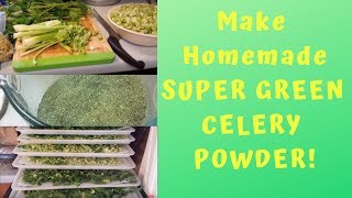 Preserving Garden Celery  How To Make Homemade Organic Super Green Celery Powder [upl. by Dwane]