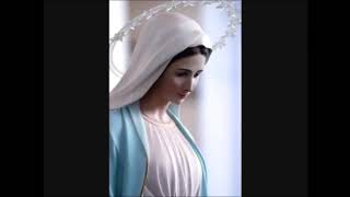 The Full Holy Rosary  3 Mysteries  Joyful Sorrowful Glorious [upl. by Soutor861]