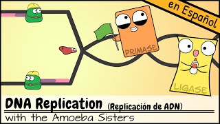 Replicación de ADN [upl. by Mowbray520]