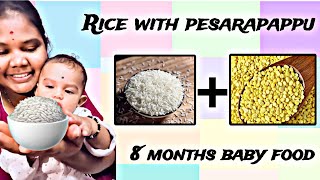 Rice with pesarapappu 8 months baby food Lillyliavlogs [upl. by Sammie]