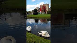 beautiful view at the lake of Hever Castle located at Edenbridge Kent United Kingdom [upl. by Buller645]