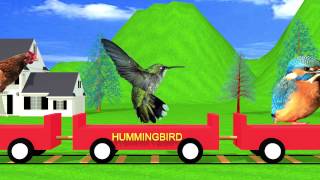 Bird Train Easy Learning for Kids  HD Animation [upl. by Adnov]