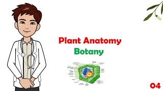 plant tissues  Meristematic amp Permanent tissues  Trichomes  Stomata types   شرح مادة البوتاني [upl. by Wiersma828]