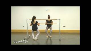 Grand Plie IDTA Ballet Grade 2 breakdown [upl. by Remington]