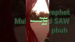 Huzur Pak ne Farmaya umarfarooqastrology muhammad muhammadﷺ [upl. by Celio]