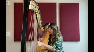 Scarlatti Sonata in B minor K27 on harp Lethicia Caravello [upl. by Oj]