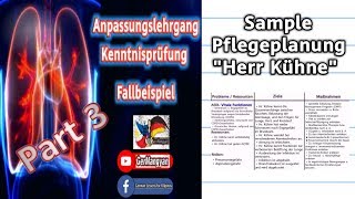 Der Pflegeprozess u Die Pflegeplanung Anerkennung Taglish [upl. by Llenart543]