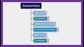 AMENORRHEA  Symptoms diagnosis treatment [upl. by Kariotta]