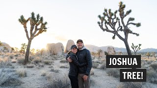 One Day in Joshua Tree National Park Ryan Mountain Keys View Cholla Cactus Garden amp MORE [upl. by Llen]