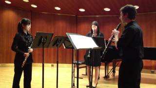 Trio for Flute Oboe and ClarinetGraham Cohen [upl. by Ludovika]