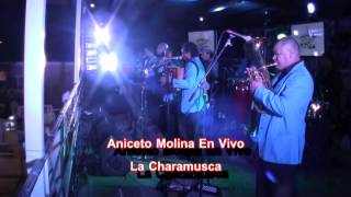 Aniceto Molina La Charamusca y La Cumbia Sampuesana En Vivo [upl. by Yraht]