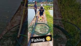 Fishing tips 😀 fishing fish water shorts shortsfeed fishingshorts viralfishingvideo viral [upl. by Kimitri656]