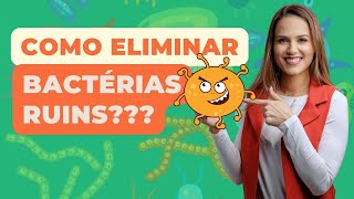 Fitoterápicos mais usados para tratar DISBIOSE INTESTINAL [upl. by Ahcila665]