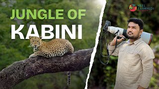 Kabinis Jungle Expedition A MustWatch [upl. by Amlet]