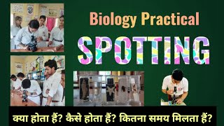 SPOTTING  Class 12  Biology Practical  Spot 1 to 7  7 Marks [upl. by Koah]