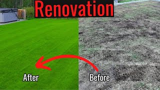 7 STEP spring lawn renovation 2024 [upl. by Kcirttap136]