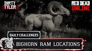 Bighorn Ram RDR2 Locations Red Dead Online [upl. by Ugo]