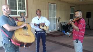 Aires del Mayab Mariachi Trio Tradicional Sacramento [upl. by Shuler]