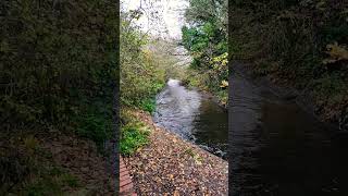 Walking in Beautiful Wandle River Trail tamil song tamilsong music london travel love walk [upl. by Moffat]