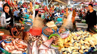 Cambodian Cold Market Tour Has Fish Pork Beef Chicken Fresh Vegetables And More [upl. by Eimaraj267]