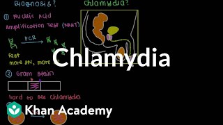 Diagnosis treatment and prevention of chlamydia  Infectious diseases  NCLEXRN  Khan Academy [upl. by Korrie890]