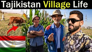 Local Village life in Tajikistan  Tajikistan Russian Village Life  Dushanbe Vlog [upl. by Nahs]