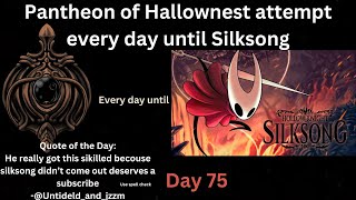 Pantheon of Hallownest attempt every day until Silksong Day 75 [upl. by Rothstein159]