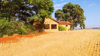 Idoso Entra na Casa e Se Depara Com Algo que o Deixa em Vários Pedaços Conheça Essa História [upl. by Francisca391]