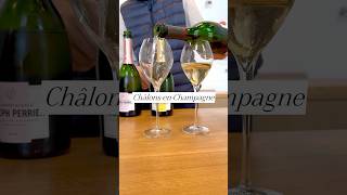 DELICIOUS 🍾 Champagne tasting anyone champagne champagnetasting francechampagne [upl. by Hershel]