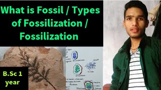 What is fossil  Types of fossil  Fossilization in hindi [upl. by Amand]