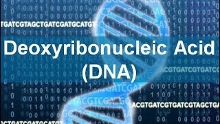 Deoxyribonucleic Acid DNA [upl. by Garibold]