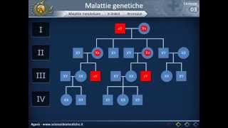 Genetica 03  Malattie genetiche e genetica di popolazione [upl. by Dexter769]