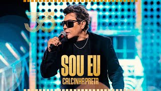 Calcinha Preta  Você Merece Sou Eu Volume30 [upl. by Sucramel]