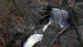 Abandoned WilkesBare Hazleton Railroad tressle over Solomon Falls [upl. by Cora148]