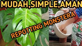 REPOTTING MONSTERA DELICIOSA [upl. by Bellanca]