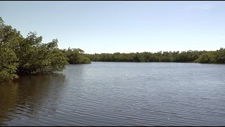 Caloosahatchee River [upl. by Vas]