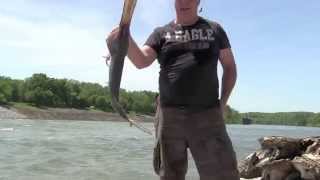 2014 Snagging paddle fish Nashville Tennessee [upl. by Nilak721]