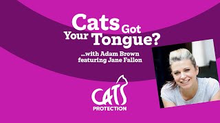 Cats Got Your Tongue podcast with Jane Fallon 🐱🎙️ Tales of a greedy cat [upl. by Jaimie353]