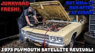 Junkyard Fresh 1973 Plymouth Satellite Revival Will it Run After 31 Years Sallys Speed Shop Ep 10 [upl. by Leihcim]