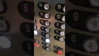 Thyssenkrupp Traction Dixmyth Service Elevators at Good Samaritan Hospital Cincinnati OH [upl. by Utter704]