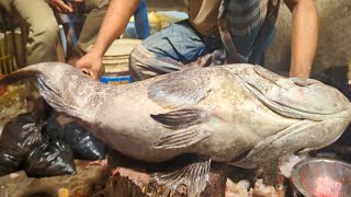 Incredible Giant Monster Hamour Fish Cutting amp Skinning Skills Dhaka Fish Market [upl. by Kleiman]