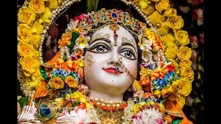 ISKCON Global Radhastami Special Deity Darshan [upl. by Nered]