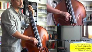 Hijo de la Luna  Mecano  Bass Cover [upl. by Brandyn]