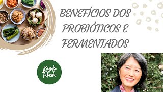 É SEGURO FERMENTAR ALIMENTOS EM CASA  Benefícios dos Fermentados e Probióticos [upl. by Burnley608]