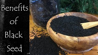 Benefits of Black Seed Nigella Sativa [upl. by Akoyn]