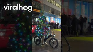 Christmas Tree Rides Bicycle In Manhattan  ViralHog [upl. by Landers]