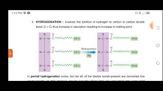 Reactions of Triacylglycerol [upl. by Lokin387]