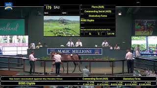 2021 Magic Millions Yearling Sale Day 1 [upl. by Liryc]