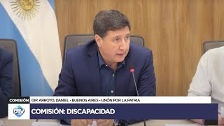 COMISIÓN COMPLETA DISCAPACIDAD  12 de noviembre de 2024  TEMAS VARIOS  Diputados Argentina [upl. by Akihsan]